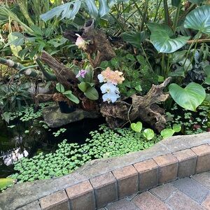 Meet your Posher, Marissa